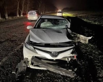 Молодой водитель погиб в аварии на Ставрополье