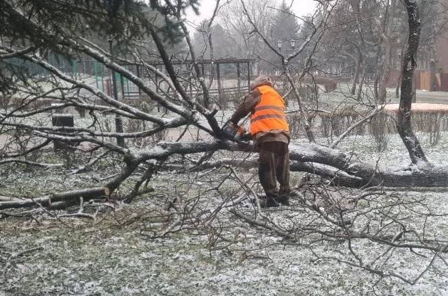 Дмитрий Ворошилов: Усиленными бригадами ведем работы по распилке упавших деревьев и освобождению проезжих частей и пешеходных зон Дмитрий Ворошилов: Усиленными бригадами ведем работы по распилке упавших деревьев и освобождению проезжих частей и пешеходных зон