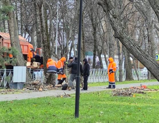 Дмитрий Ворошилов: Усиленными бригадами ведем работы по распилке упавших деревьев и освобождению проезжих частей и пешеходных зон Дмитрий Ворошилов: Усиленными бригадами ведем работы по распилке упавших деревьев и освобождению проезжих частей и пешеходных зон