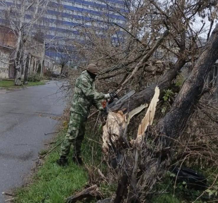 Дмитрий Ворошилов: Усиленными бригадами ведем работы по распилке упавших деревьев и освобождению проезжих частей и пешеходных зон Дмитрий Ворошилов: Усиленными бригадами ведем работы по распилке упавших деревьев и освобождению проезжих частей и пешеходных зон