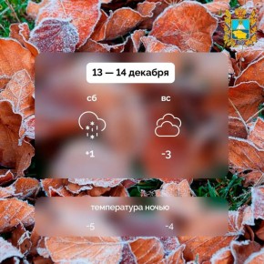 Вот уже на пороге середина декабря и на выходных нас ждет минусовая температура
