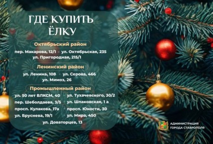 В Ставрополе открываются ёлочные базары!