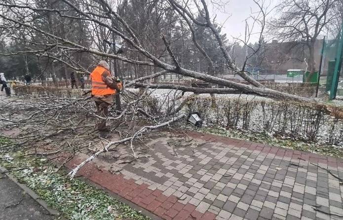 Дмитрий Ворошилов: Усиленными бригадами ведем работы по распилке упавших деревьев и освобождению проезжих частей и пешеходных зон