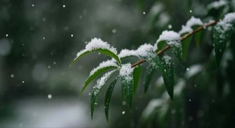 �� ������ ����������, ������ �� ����������� ������� ��������� ����, ������ ����, �� ������� ����������