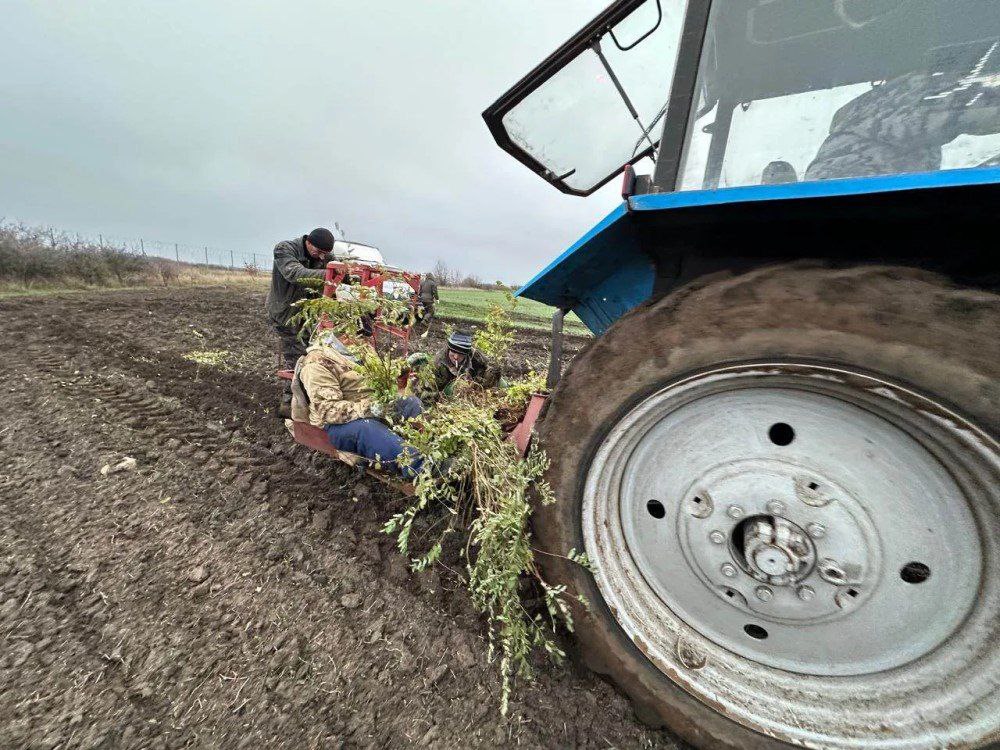 Ставрополье признано лидером по сохранению лесов! Ставрополье признано лидером по сохранению лесов!
