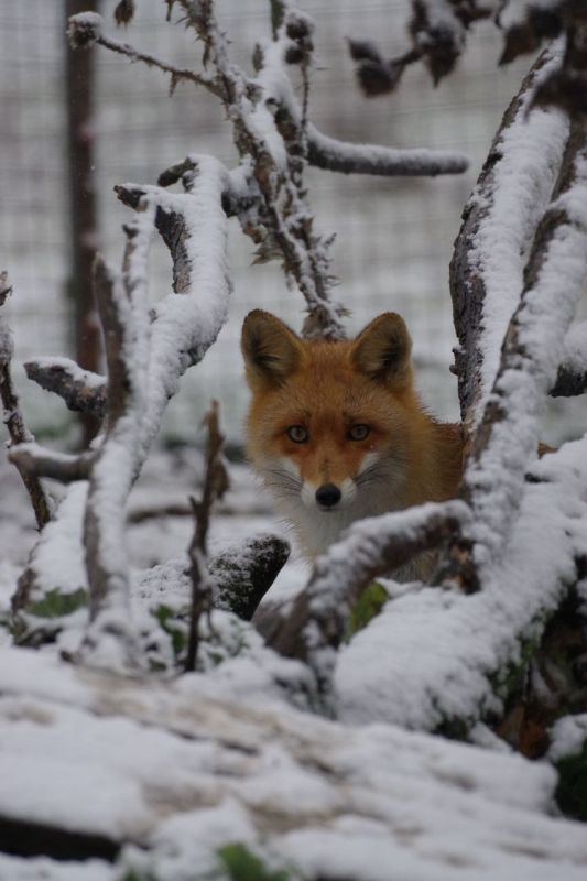 ��� � ������ ����. ����� "�������" ��������� �� ��� � MAX