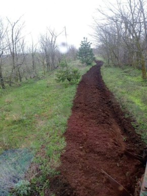 Ставрополье признано лидером по сохранению лесов!