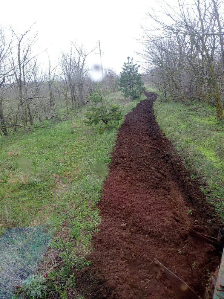 Ставрополье признано лидером по сохранению лесов!
