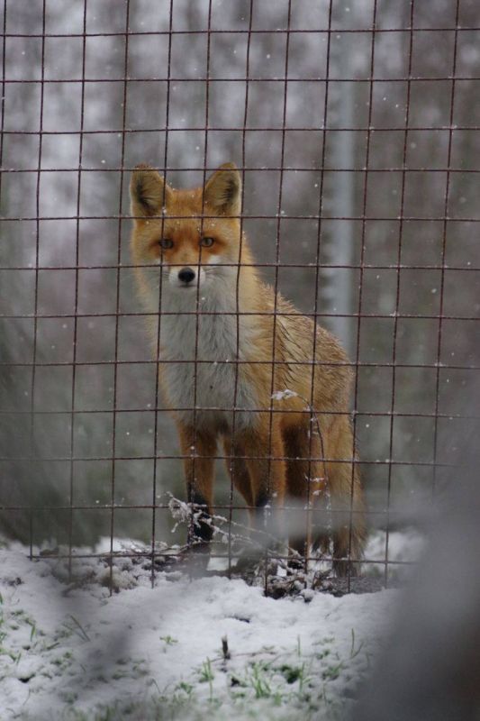 ���� ���� �����������, ������ � ���������� ����� ����� ���� ����� ����� ����