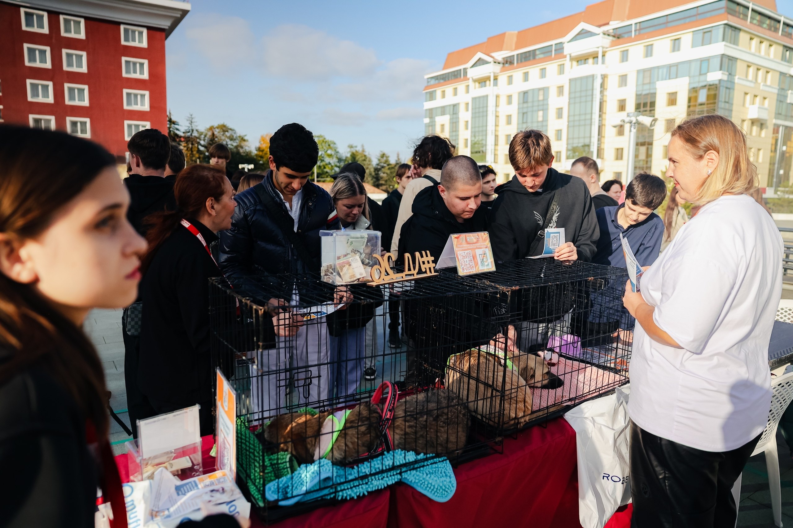 В Ставрополе продолжает развиваться система взаимодействия администрации города с социально ориентированными некоммерческими организациями В Ставрополе продолжает развиваться система взаимодействия администрации города с социально ориентированными некоммерческими организациями