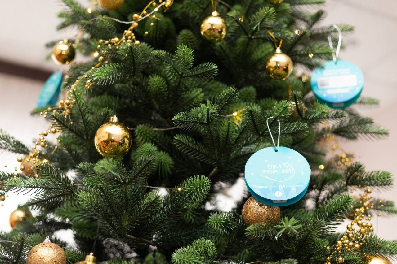 Елка добрых дел зажглась в Пятигорске Елка добрых дел зажглась в Пятигорске