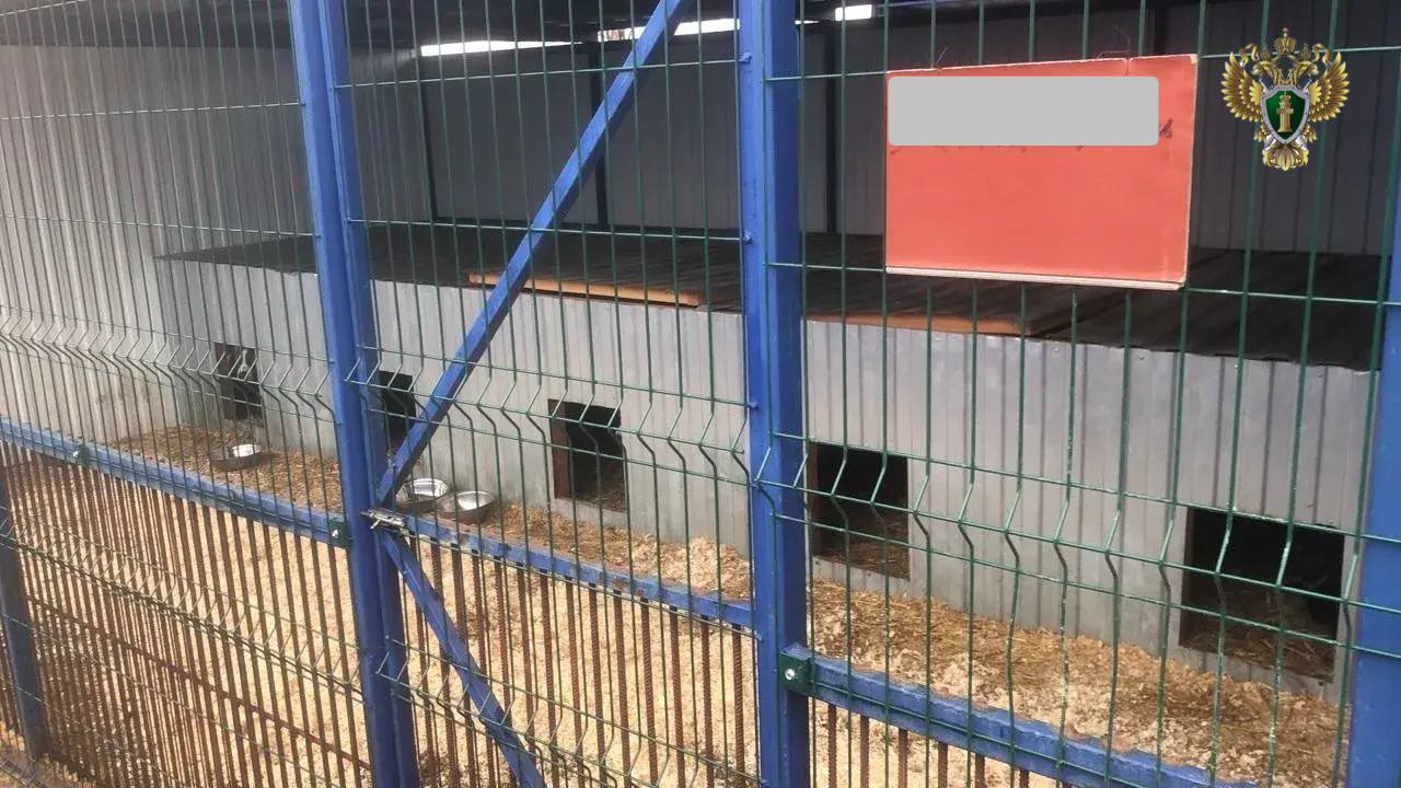 По постановлению прокурора руководитель пункта временного содержания животных привлечен к ответственности
