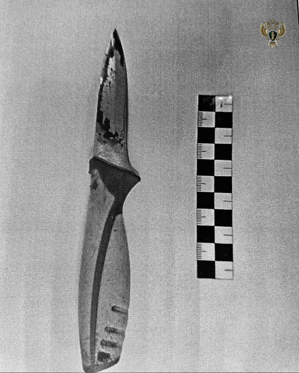 Жительница Буденновска отправится в места лишения свободы за убийство сожителя Жительница Буденновска отправится в места лишения свободы за убийство сожителя