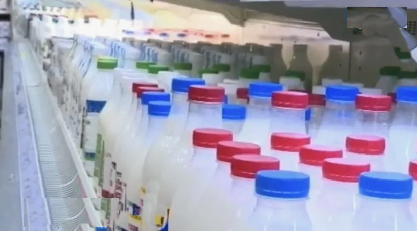 Поставщик молочки и чиновница наживались на детях