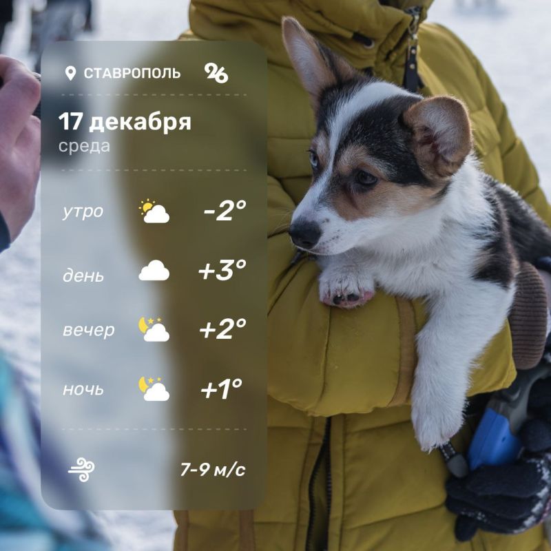 ������ ����!. ������ � ���������� �������