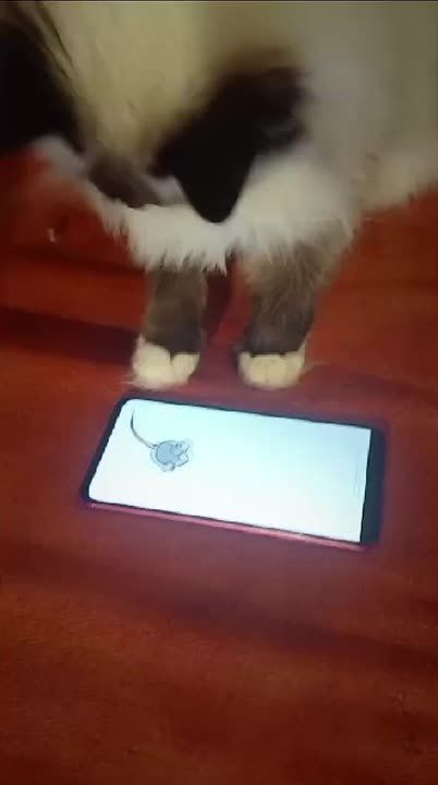 ����� ���������� �������� � ���� ������ ���� �������