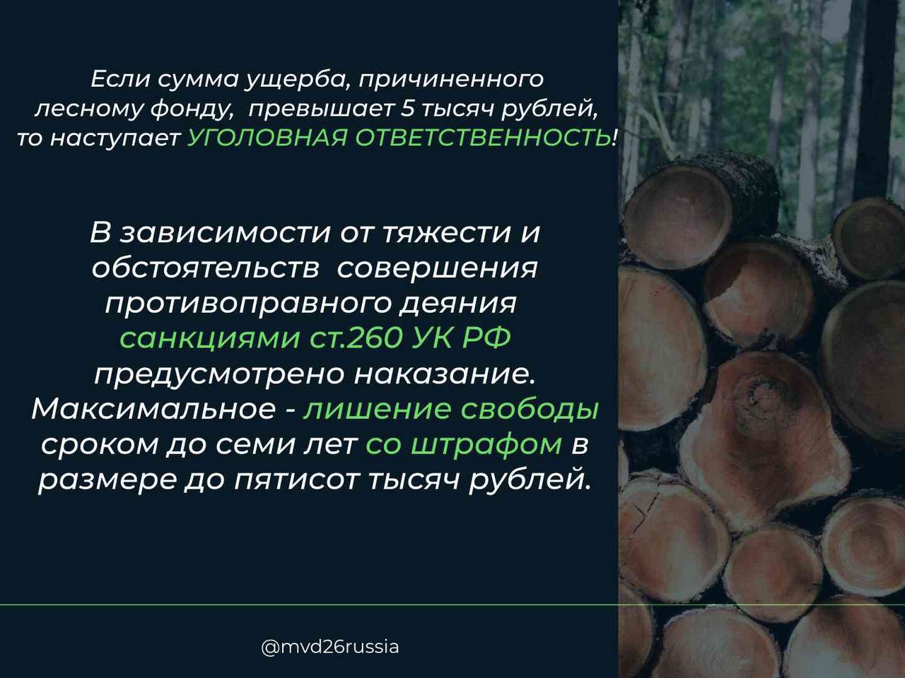Рассказываем, какая ответственность предусмотрена законодательством за незаконную рубку лесных насаждений, в наших информационных карточках Рассказываем, какая ответственность предусмотрена законодательством за незаконную рубку лесных насаждений, в наших информационных карточках