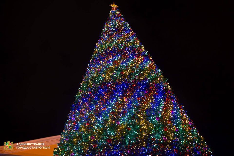 � ���������� ���� �� ������� ��������� ���� ������ 19 �������