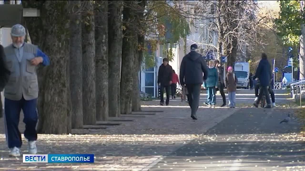 В ноябре этого года вступили в силу изменения законодательства, обязывающие нотариусов извещать наследников, которые подали заявления для принятия наследства, о долгах наследодателя