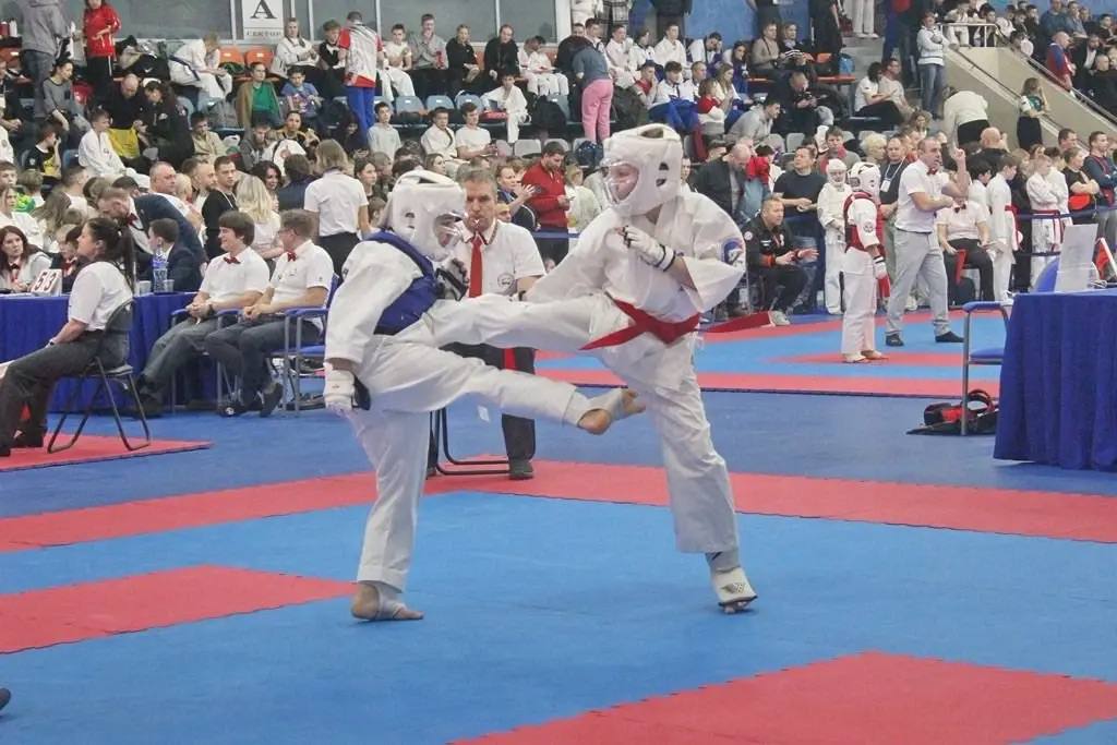 «Москва Златоглавая». В рамках Всероссийского фестиваля единоборств в столице прошло соревнование по всестилевому каратэ «Москва Златоглавая», которое собрало свыше тысячи участников из 39 регионов страны «Москва Златоглавая». В рамках Всероссийского фестиваля единоборств в столице прошло соревнование по всестилевому каратэ «Москва Златоглавая», которое собрало свыше тысячи участников из 39 регионов страны