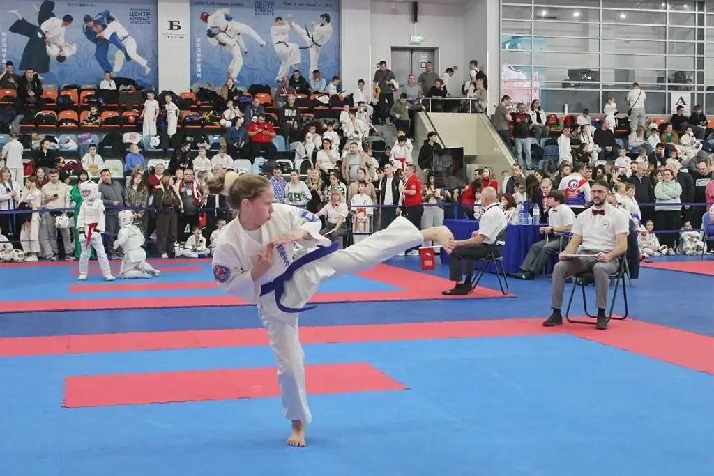 9 медалей привезли ставропольские каратисты с Всероссийского фестиваля единоборств 9 медалей привезли ставропольские каратисты с Всероссийского фестиваля единоборств