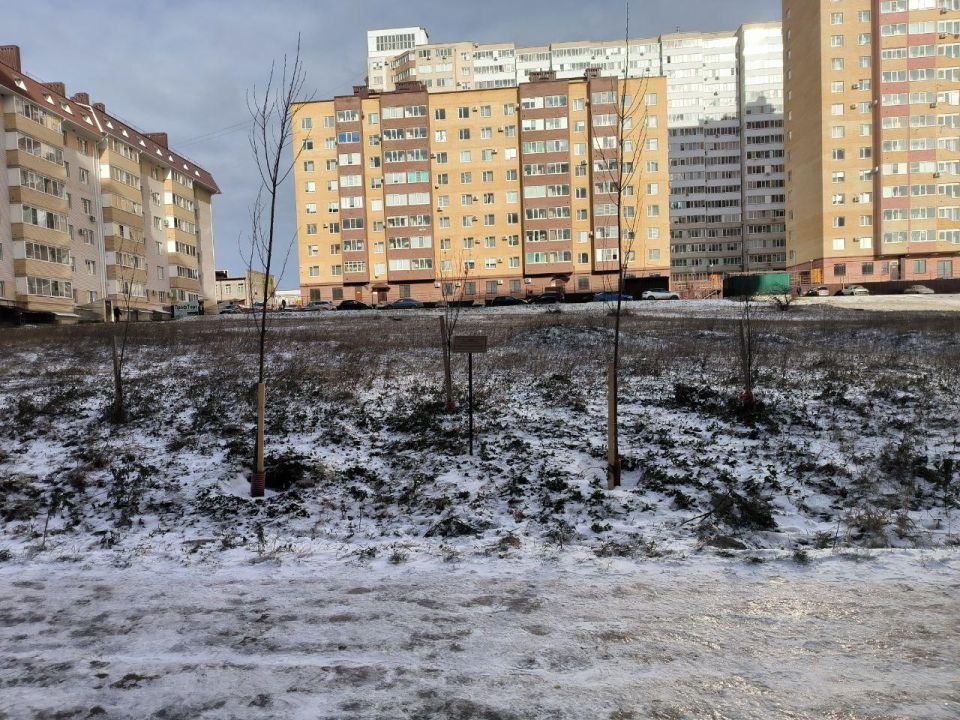 ������������ ������� ������������ ���� � �������� ������ ��������� � �����������