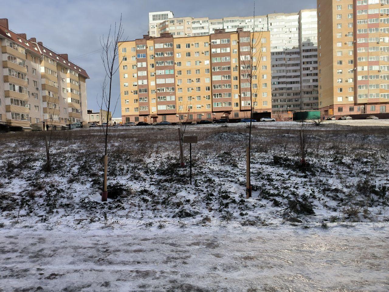 Ставропольцы активно поддерживают идею о создании сквера Горбачёва — экоактивист