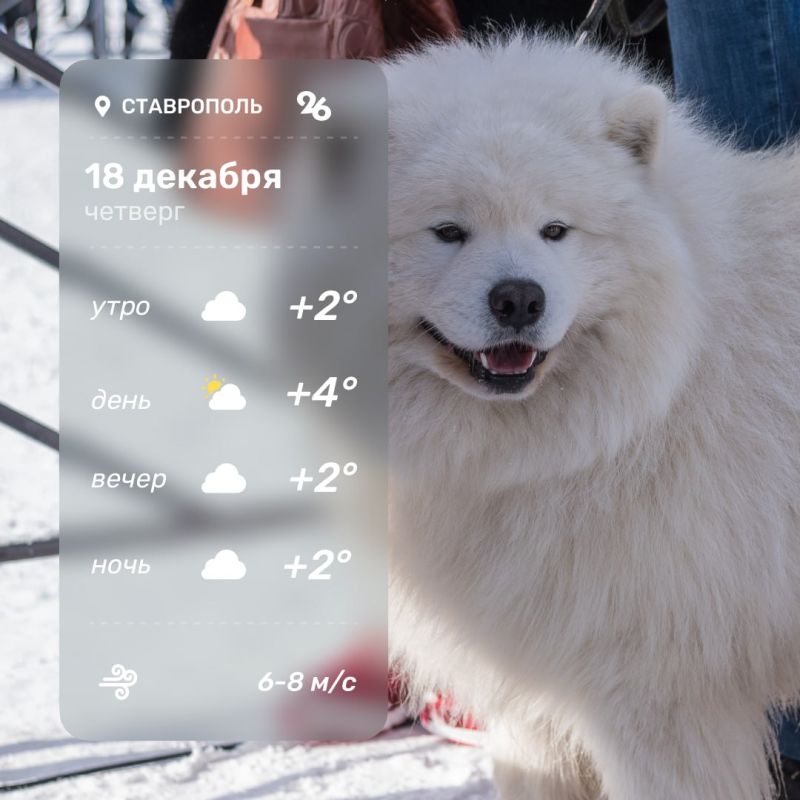 ������ �������� ����!. ������ �� �������