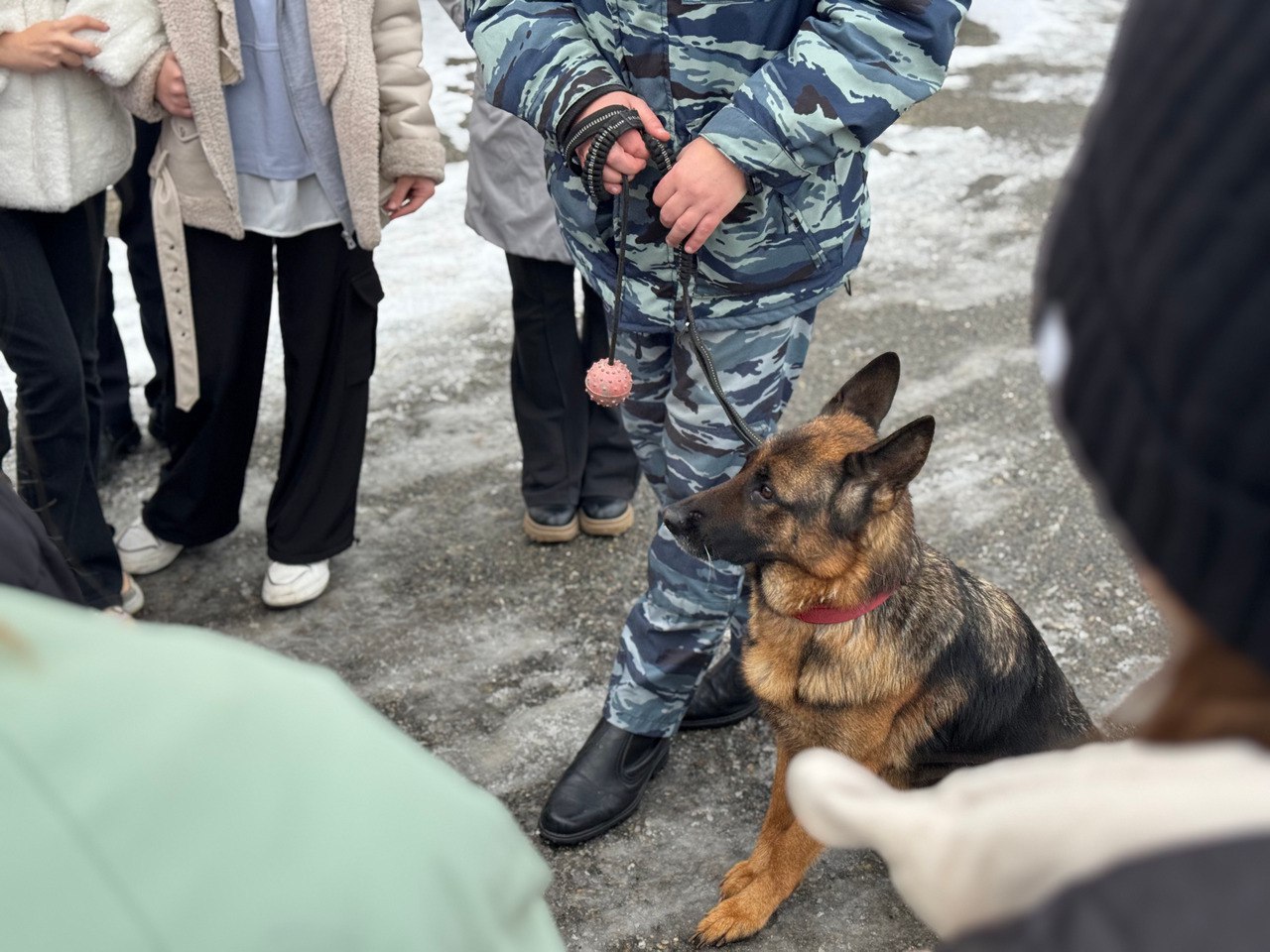 В Ставрополе полицейские провели познавательную экскурсию в отдел внутренних дел для учащихся школы №13 В Ставрополе полицейские провели познавательную экскурсию в отдел внутренних дел для учащихся школы №13