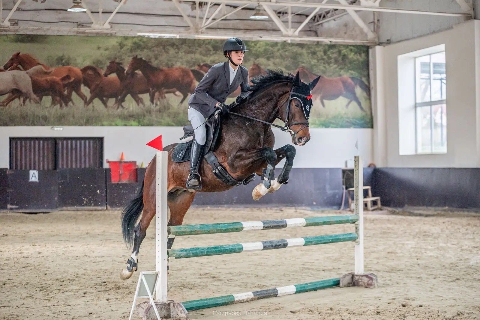 Всадницы из Ставрополя победили на Зимнем кубке Терского конного завода Всадницы из Ставрополя победили на Зимнем кубке Терского конного завода