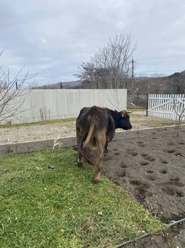 ������� �������: ����� �� ����� - ������������ ������ �������� �������������� ���������