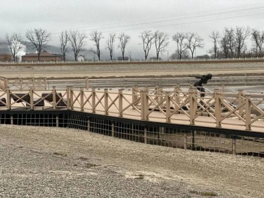 ������ ����� � ����������� �������� ��� ������� ������ � ������� ���