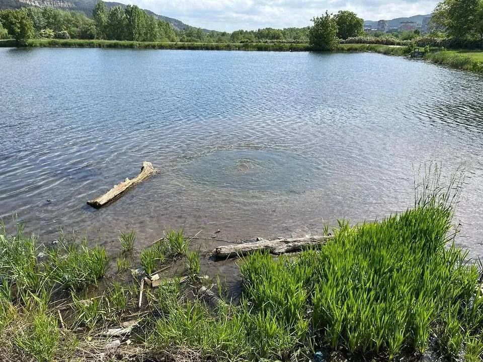 � ����������� ����������� ����� ����� �� 600 ��� ������