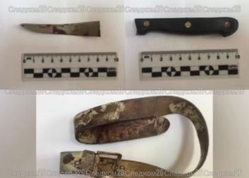 В Георгиевском округе мужчина признан виновным в покушении на убийство