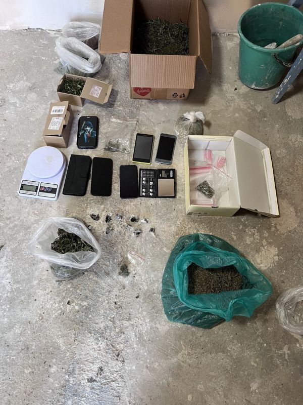 Полицейские Изобильненского округа изъяли у местного жителя более 4,5 килограммов марихуаны