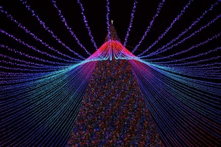 ���� ����������: ������� ��������� ���� �������� �������� ���������� ��������