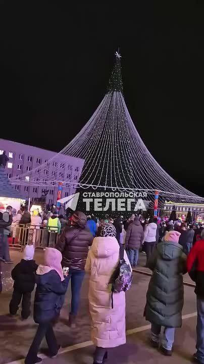 Огни зажгли на главной городской ёлке в Ставрополе!