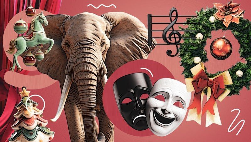 Слоны в цирке, новогодние квизы и живые бабочки ждут ставропольцев на выходных 20 и 21 декабря