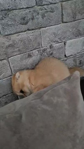 ������� ���� �������� �������� � ������ ������� ������ ���