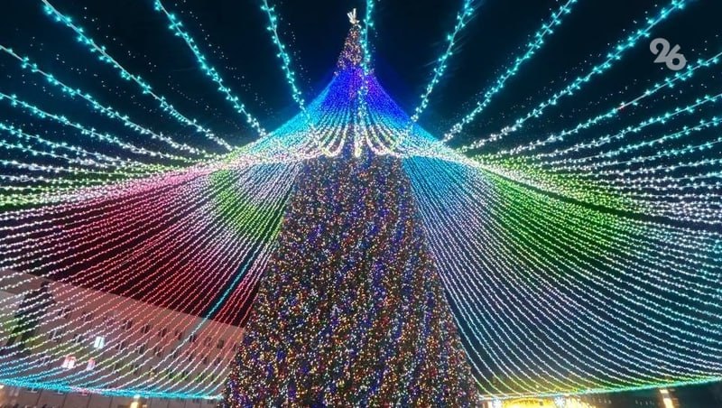 Как в Ставрополе зажигали огни на главной ёлке края — видеосюжет