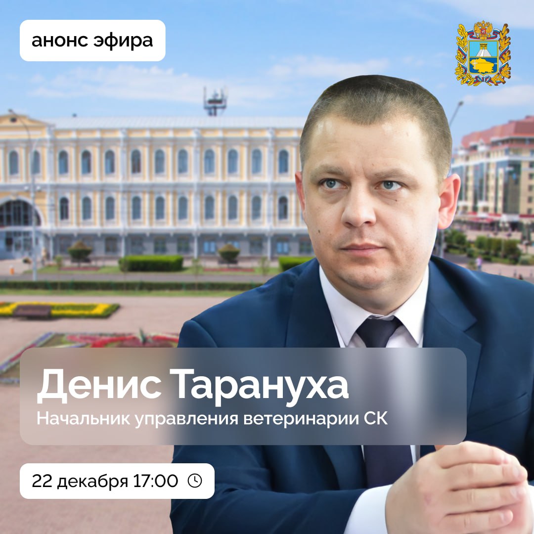 Какая работа с безнадзорными животными проводилась на Ставрополье в 2025 году? Каких результатов удалось достичь? Профилактика каких заболеваний животных активно проводится в крае?