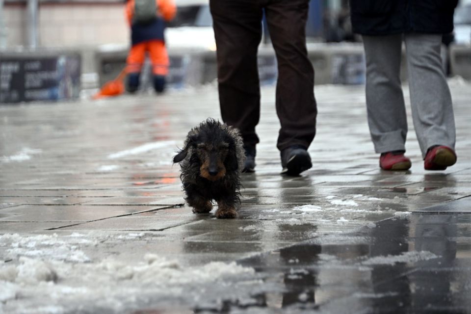 То плюс, то снег: погодные качели ждут ставропольцев в начале недели