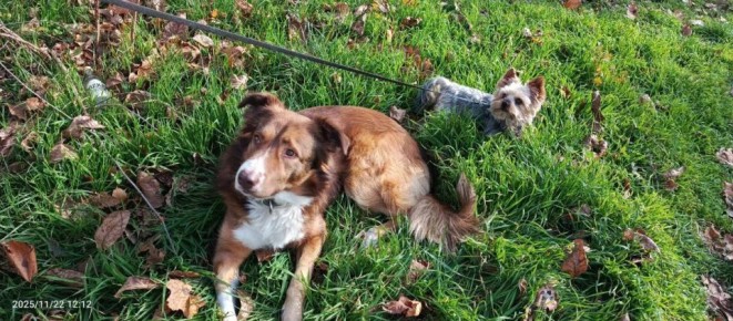 ����� � ������� ������ ��������� ���������� ����� ����������� � ���� ���������� ����!