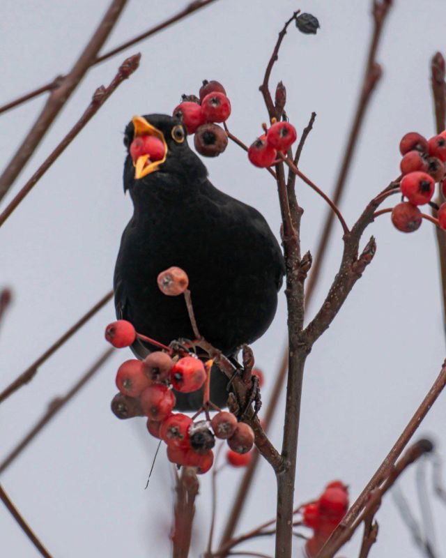 Утро нужно начинать с завтрака