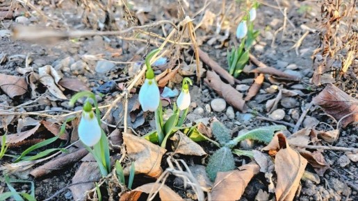 �� ����������� � ������� ������� �����������