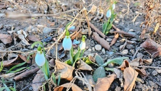 ����������� � �������!. � ���������� ����� ����� ������ ��������� �� �� ��� ������ ������! ������ ��� ���������� ������������ � �������-�����, �� � ������ ���� ��� ��� ������ ��� ����� ����� ��������, ������� ������������...