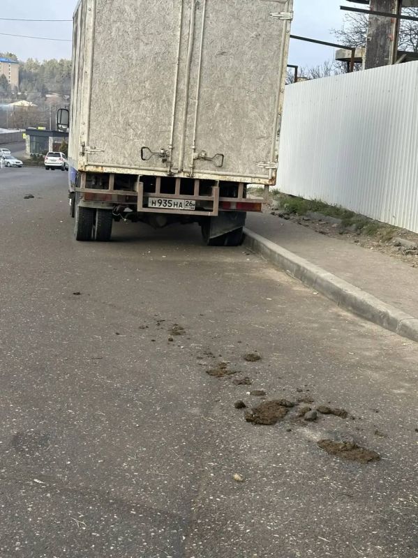 Евгений Моисеев: Что-то, а табунов у нас много вместе с нерадивыми собственниками скота