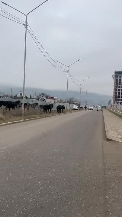 ����� �� 20 ������� ����� ���������� �� ����������� � �������� ���������� �� ������������