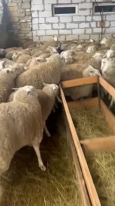 ��� � ��� ����� ����������?