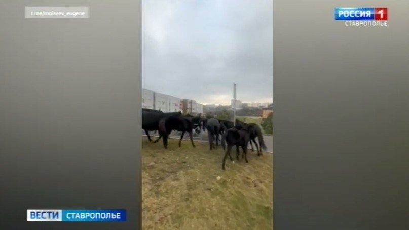 ������ ������� ������� ����� �� ���������� ����� � �����������